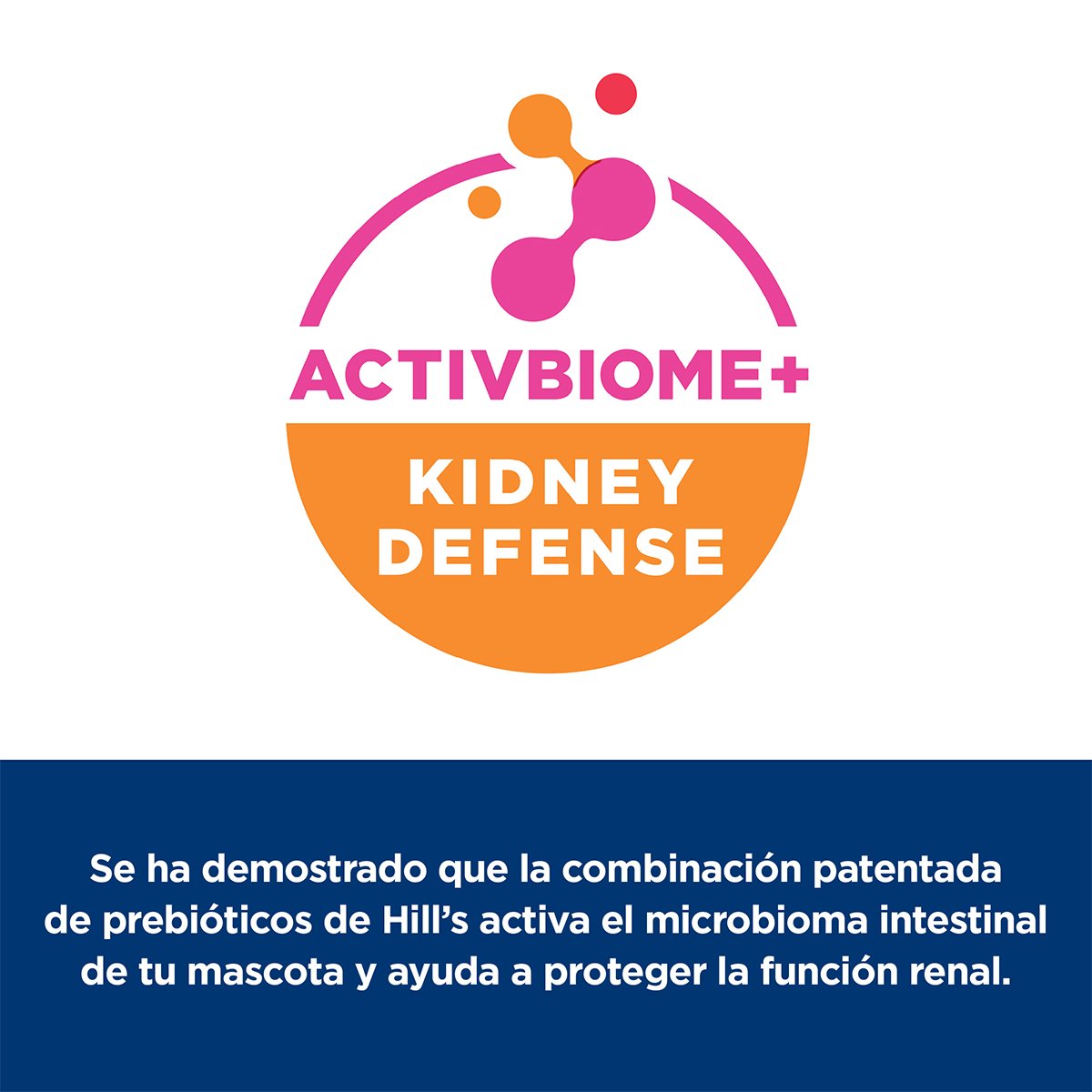 Alimento Hill's Prescription Diet k/d Cuidado del Riñon Para Gato Lata 156g