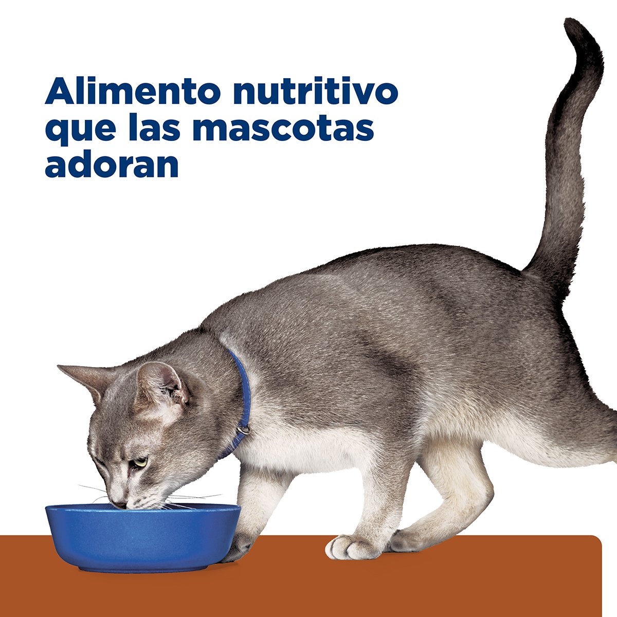 Alimento Hill's Prescription Diet k/d Cuidado del Riñon Para Gato Lata 156g