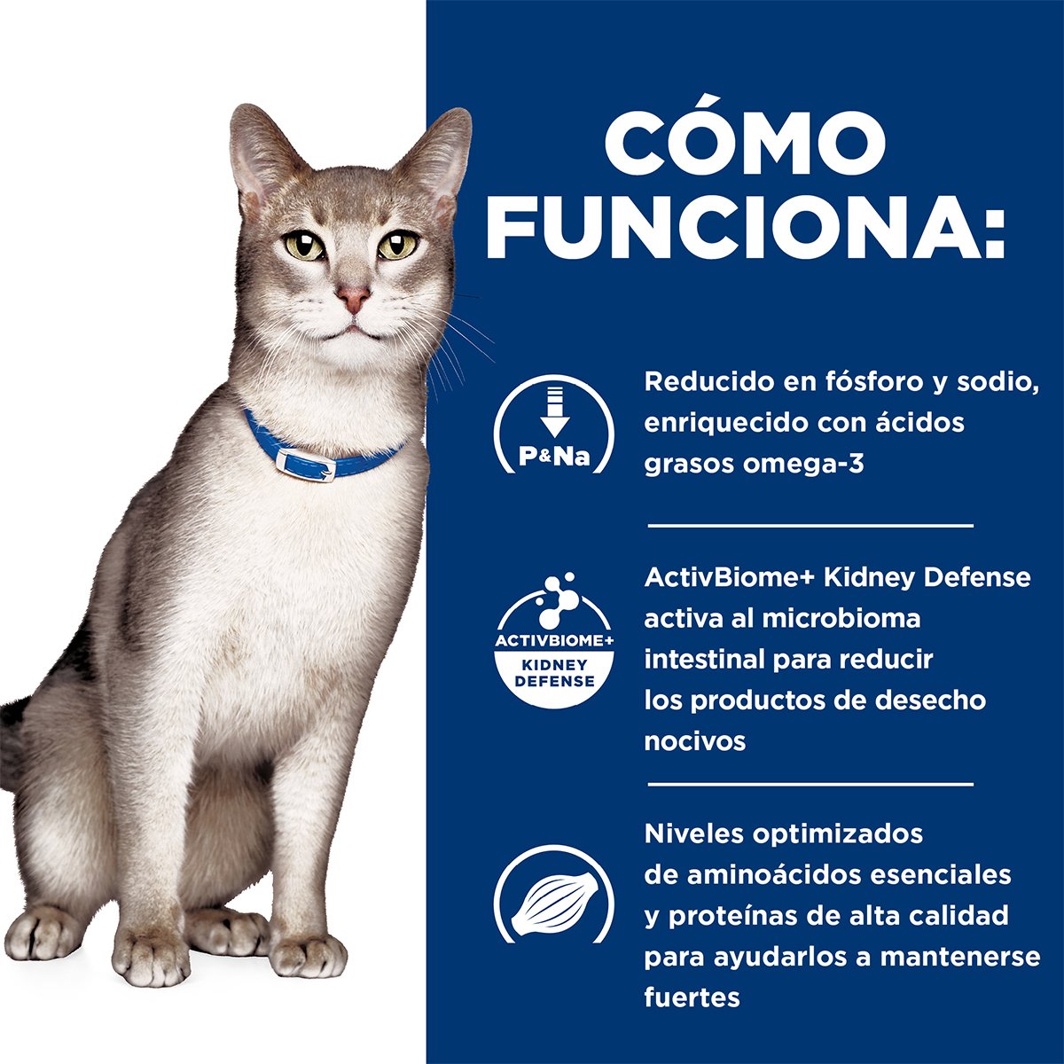 Alimento Hill's Prescription Diet k/d Cuidado del Riñon Para Gato Lata 156g