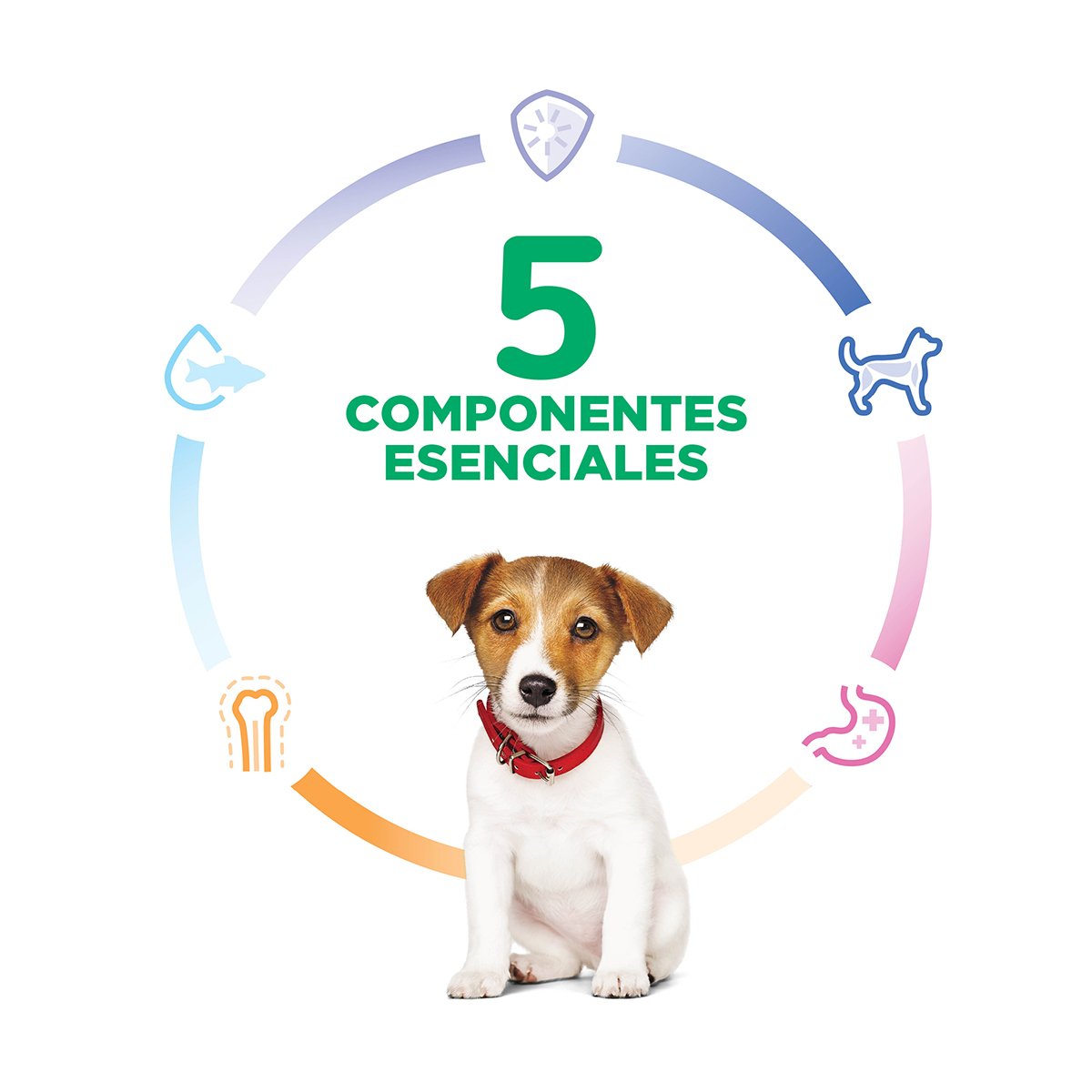 Alimento Hill's Science Diet Original Cachorro Para Perro Raza Pequeña