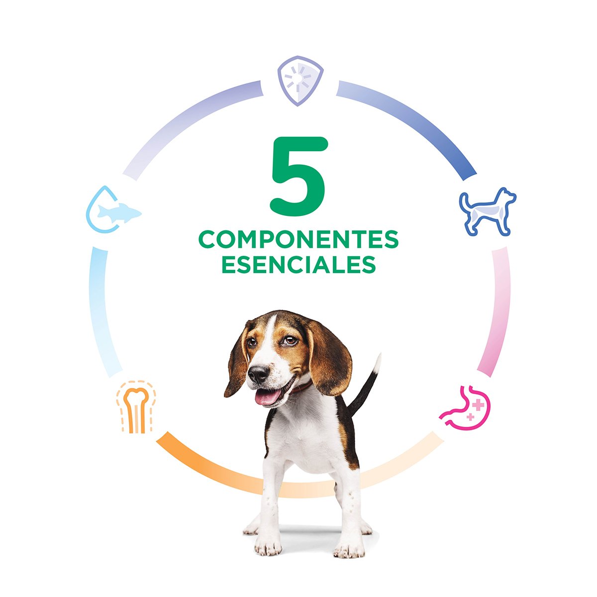 Alimento Hill's Science Diet Original Cachorro Para Perro Raza Mediana