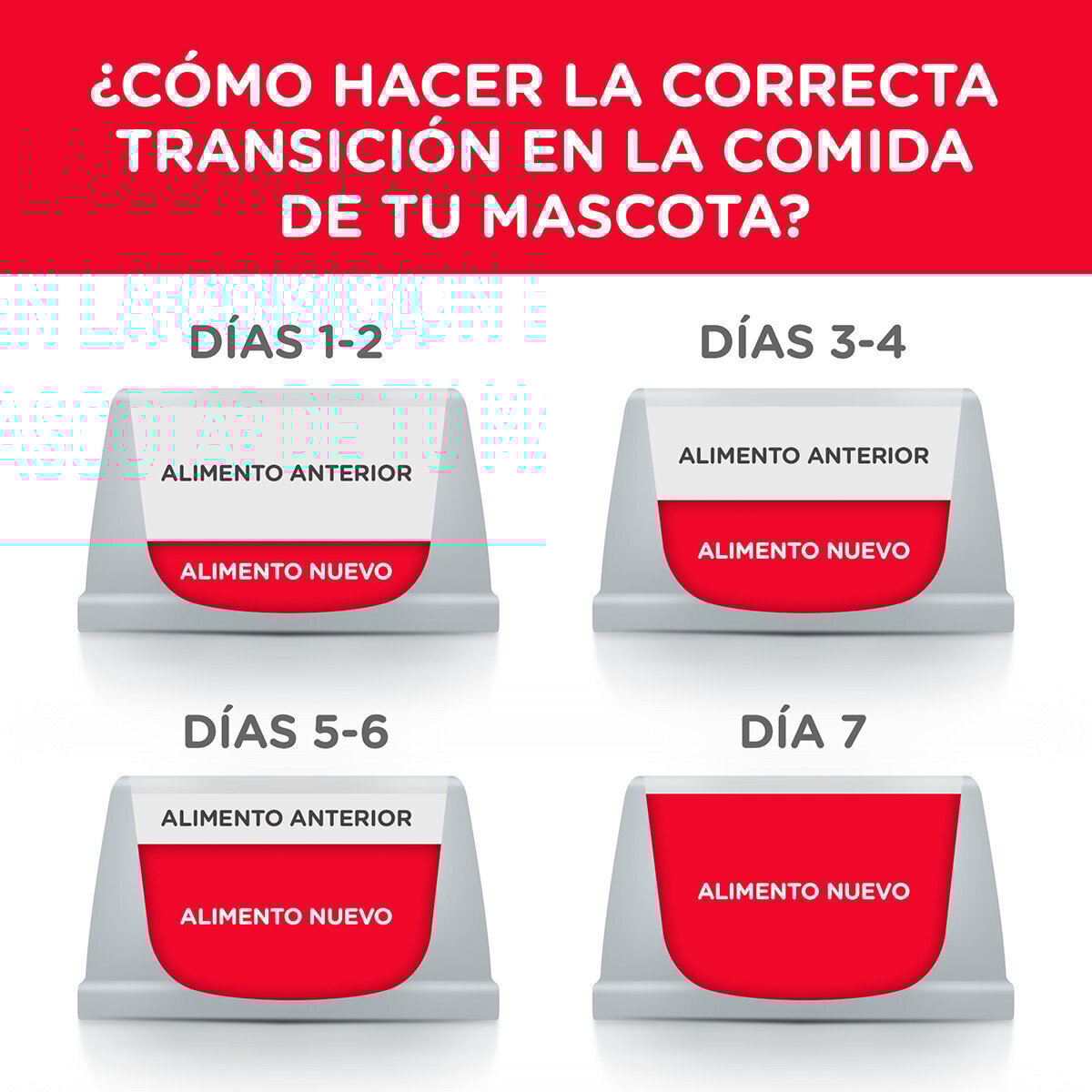 Alimento Hill's Science Diet Adult Small Bites