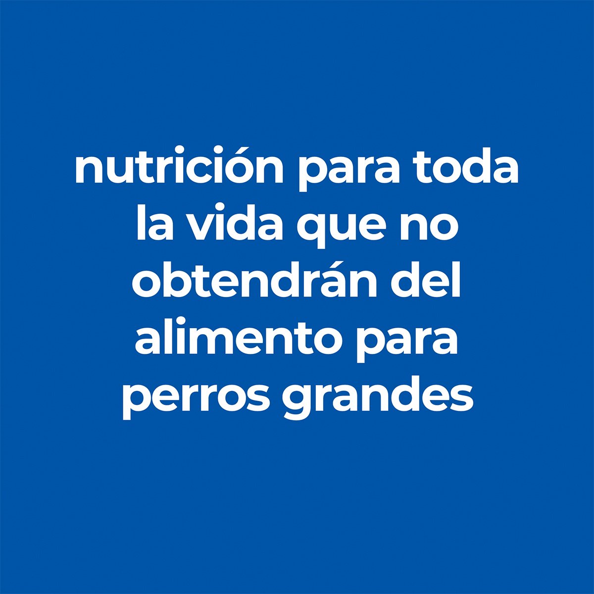 Alimento P/Perro Adulto Small Paws