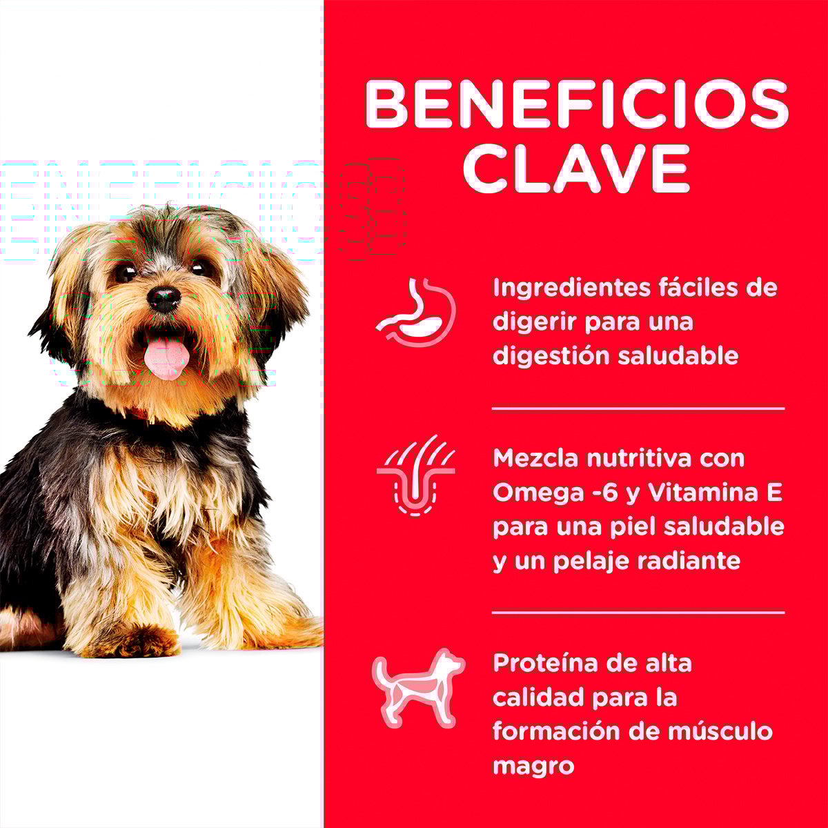 Alimento P/Perro Adulto Small Paws