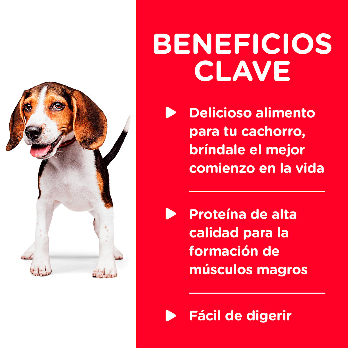 Alimento Hill's Science Diet Original Para Cachorro Lata 370g