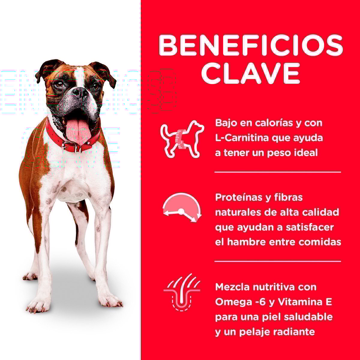 Alimento Hill's Science Diet Adult Light Dog Food (UNICAMENTE BAJO PEDIDO)