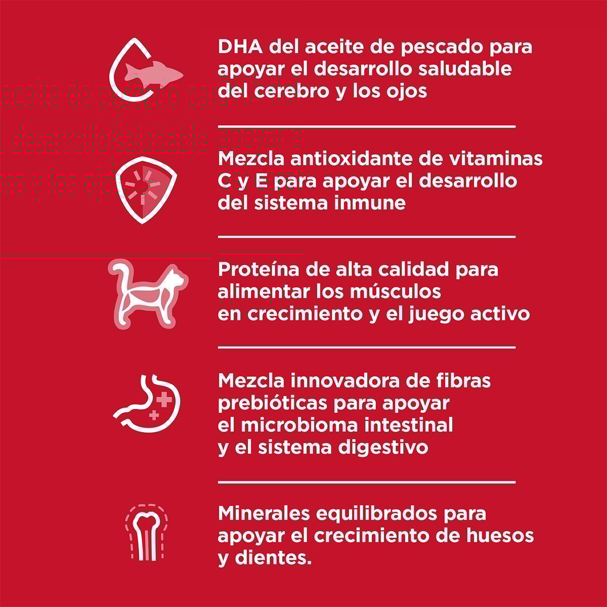 Alimento Hill's Science Diet Original Para Gatito 3.2kg