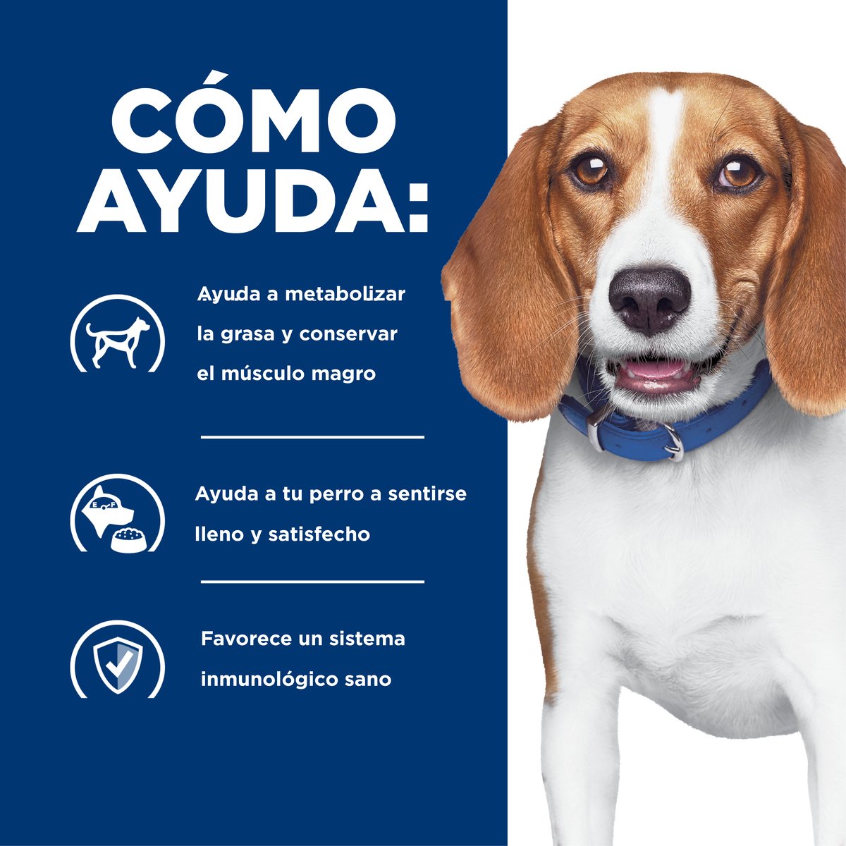 Alimento Hill's Prescription Diet r/d Reducción de Peso Para Perro