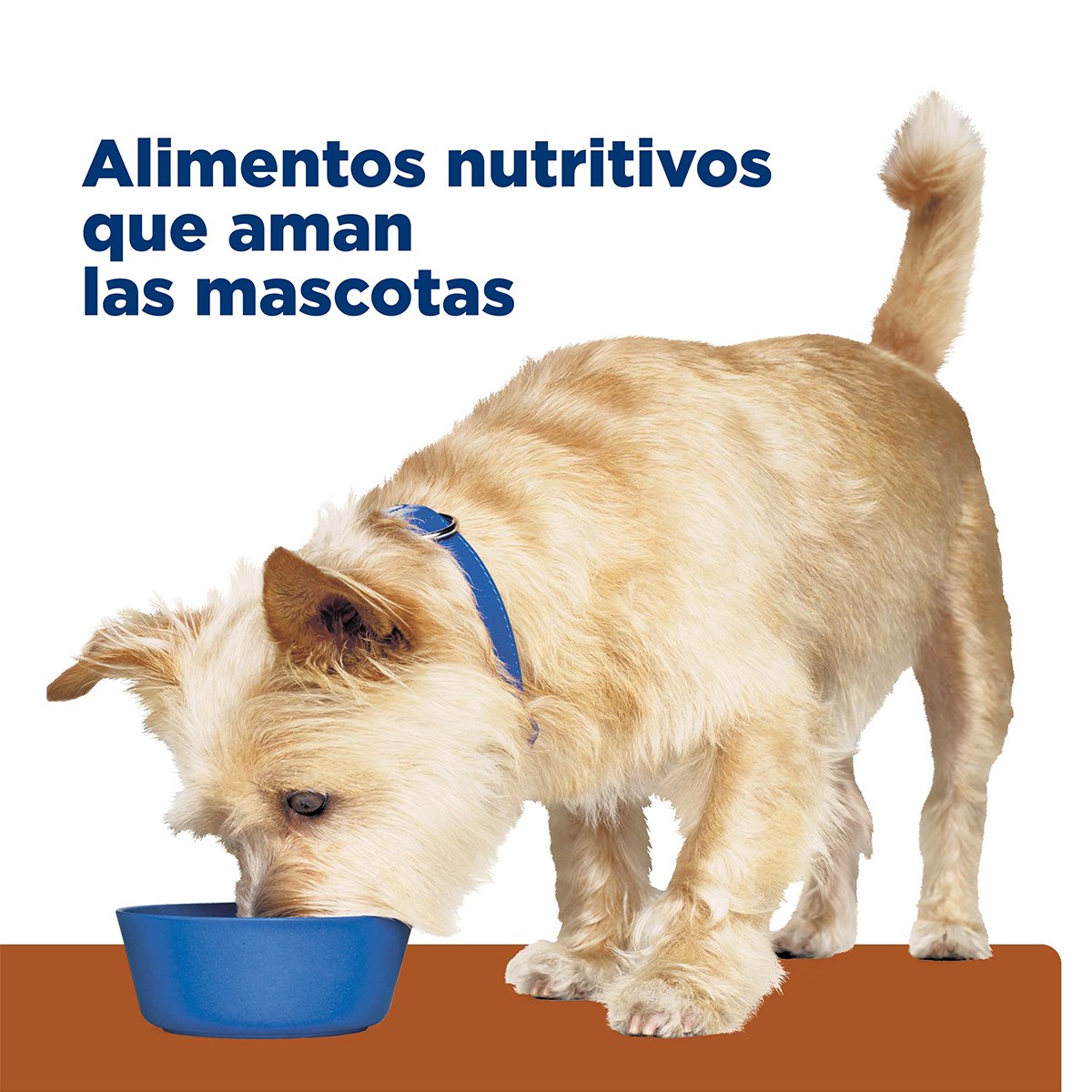 Alimento Hill's Prescription Diet k/d Cuidado del Riñón Pollo Para Perro Lata 370g