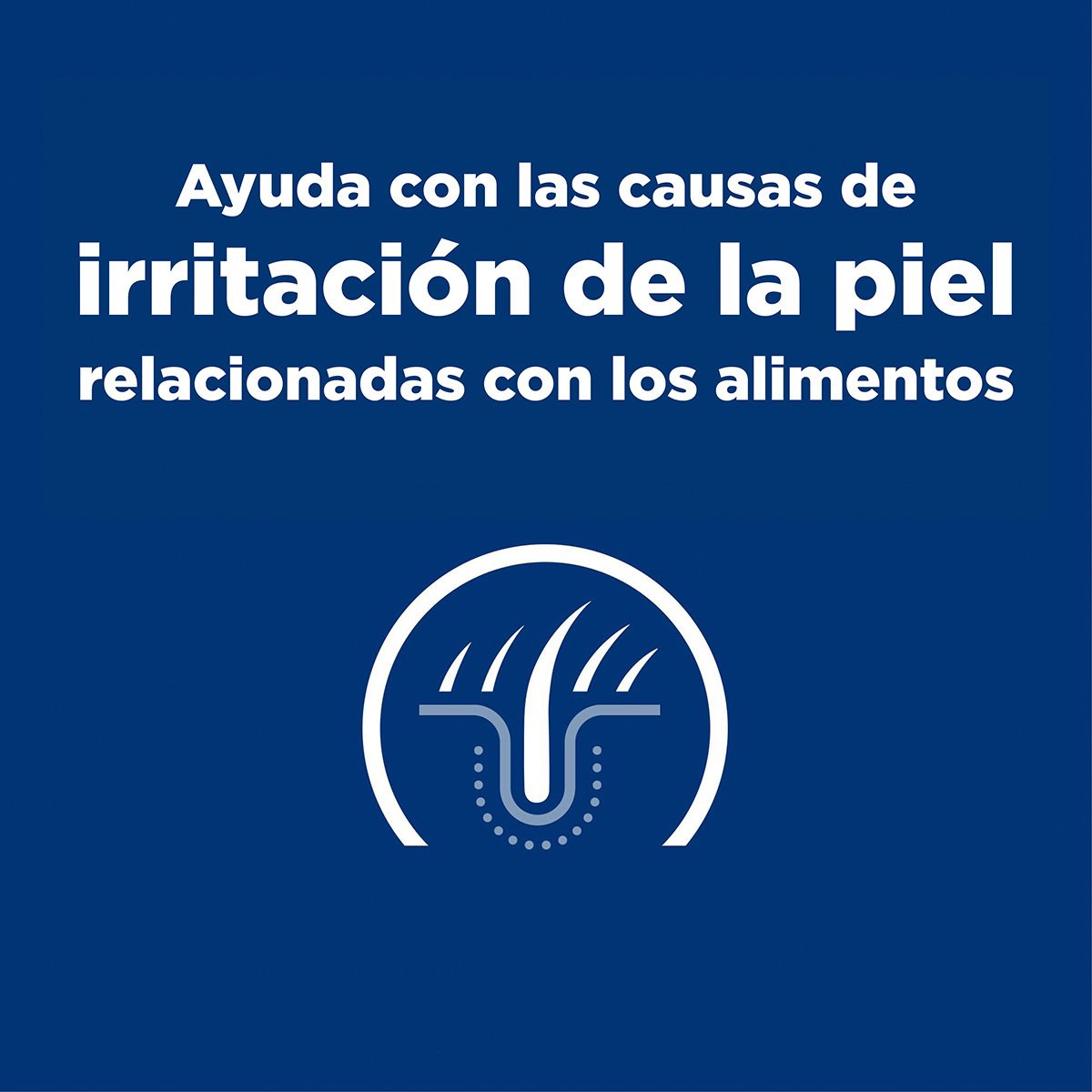 Alimento Hill's Prescription Diet z/d Sensibilidad Alimenticia Para Perro