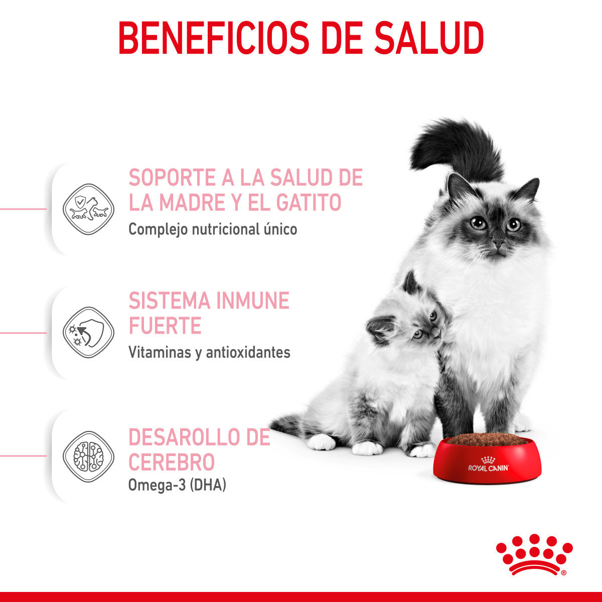 Royal Canin Mom & BabyCat Alimento Seco para Gestación / Lactancia o Destete para Gato, 1.3 kg