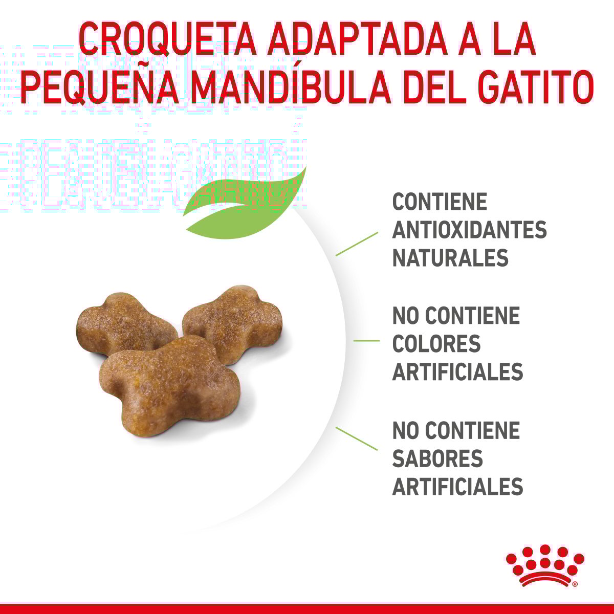 Alimento Royal Canin Kitten Chaton