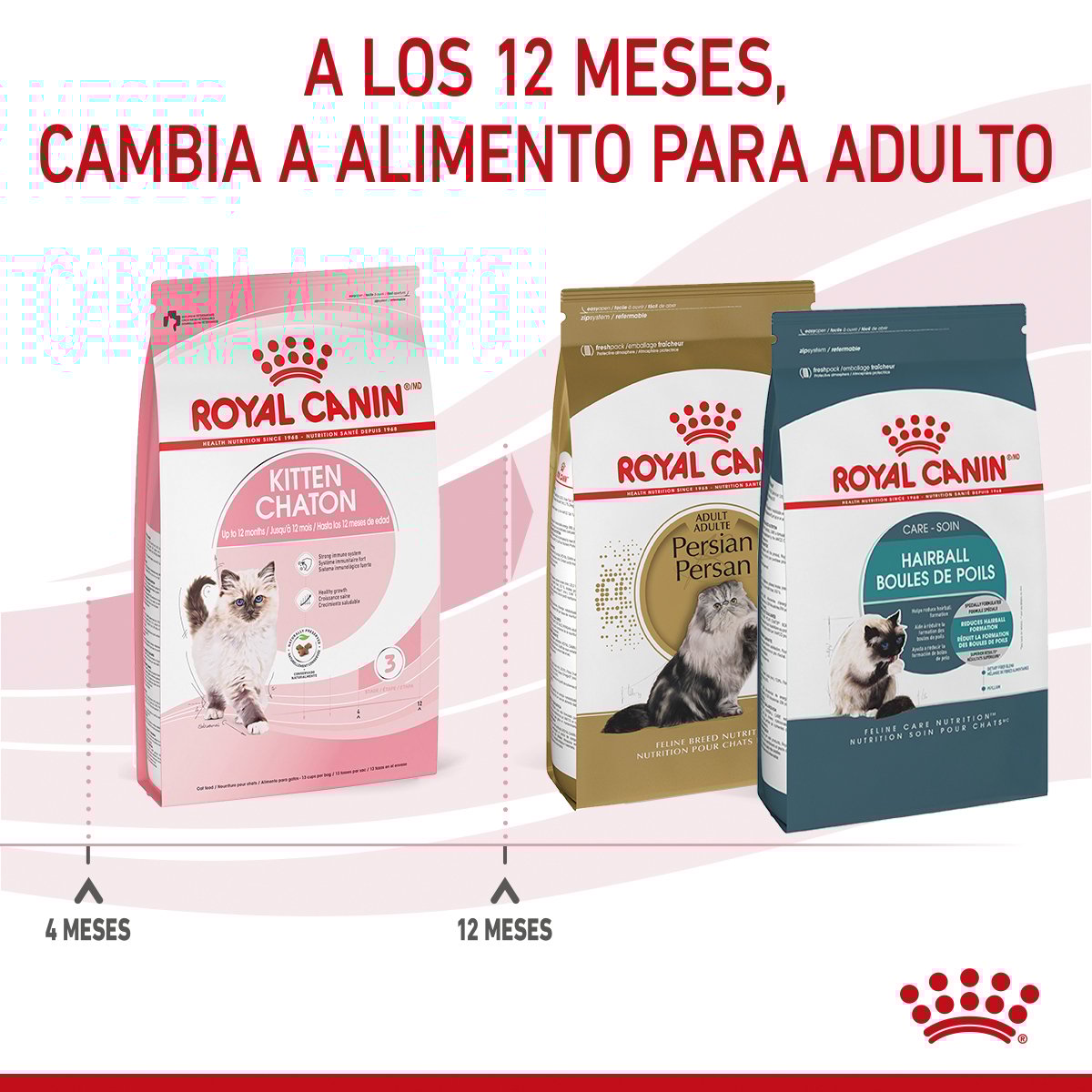 Alimento Royal Canin Kitten Chaton