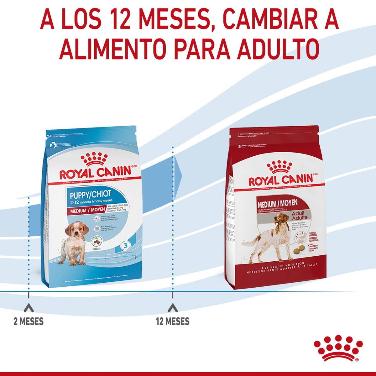 Alimento Royal Canin Para Perro Cachorro Raza Mediana