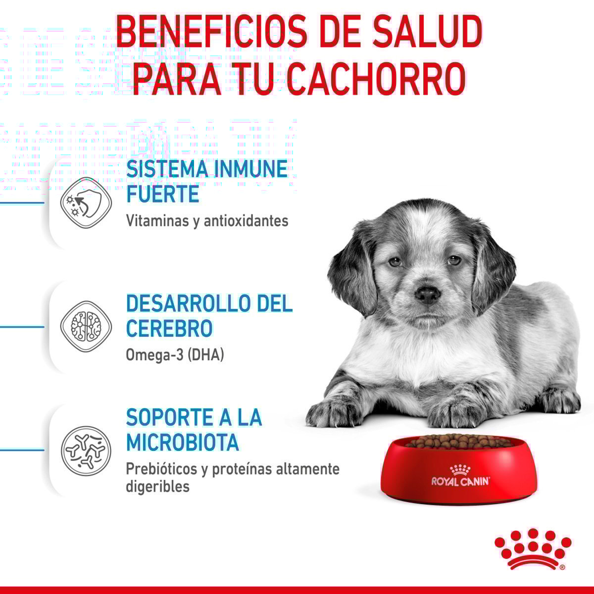 Alimento Royal Canin Para Perro Cachorro Raza Mediana