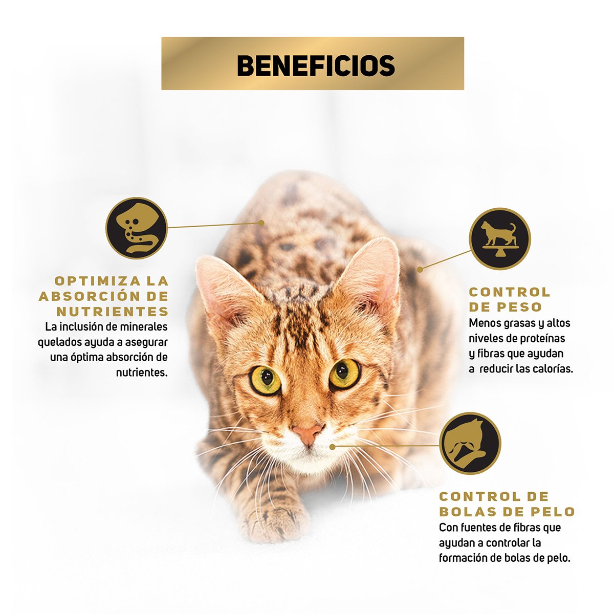 Alimento Pro Plan Gato Esterilizado