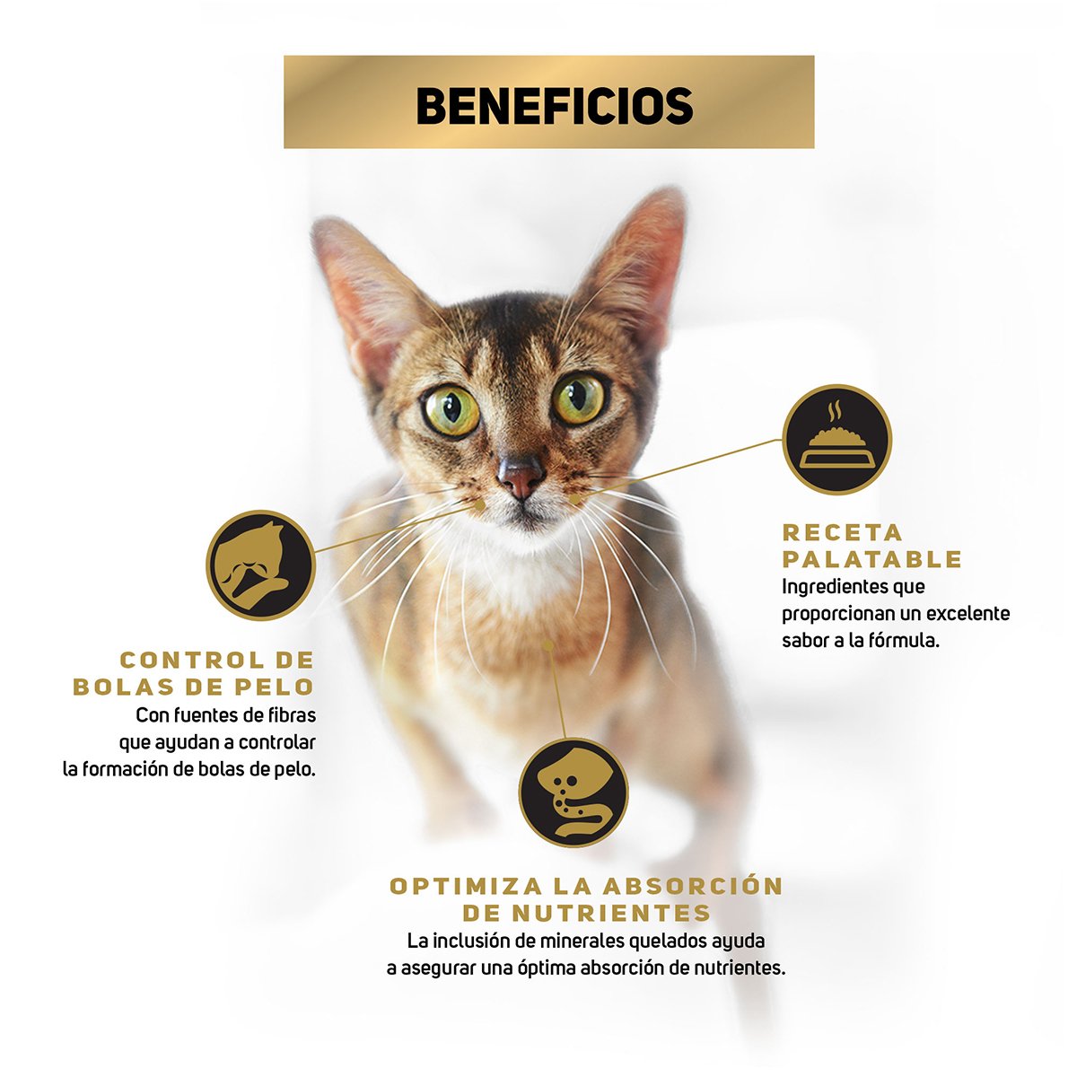 Alimento Pro Plan Gato Reduce Calorie 3kg (UNICAMENTE BAJO PEDIDO)