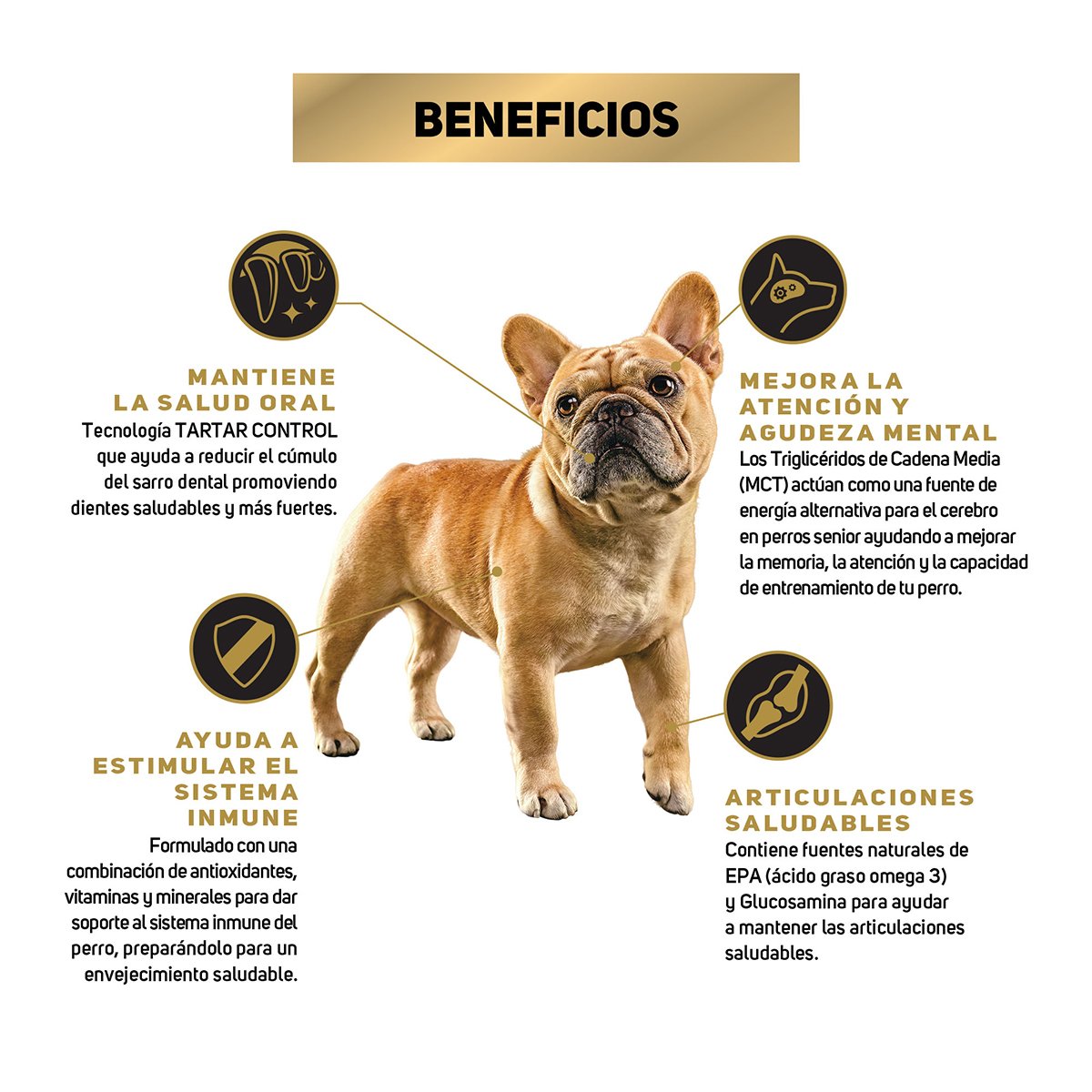 Alimento Pro Plan Active Mind Razas Pequeñas