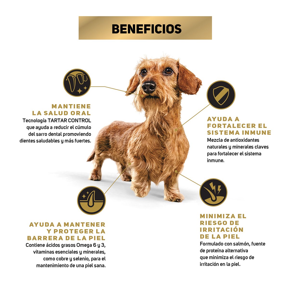 Alimento Pro Plan Sensitive Skin Adulto Razas Pequeñas