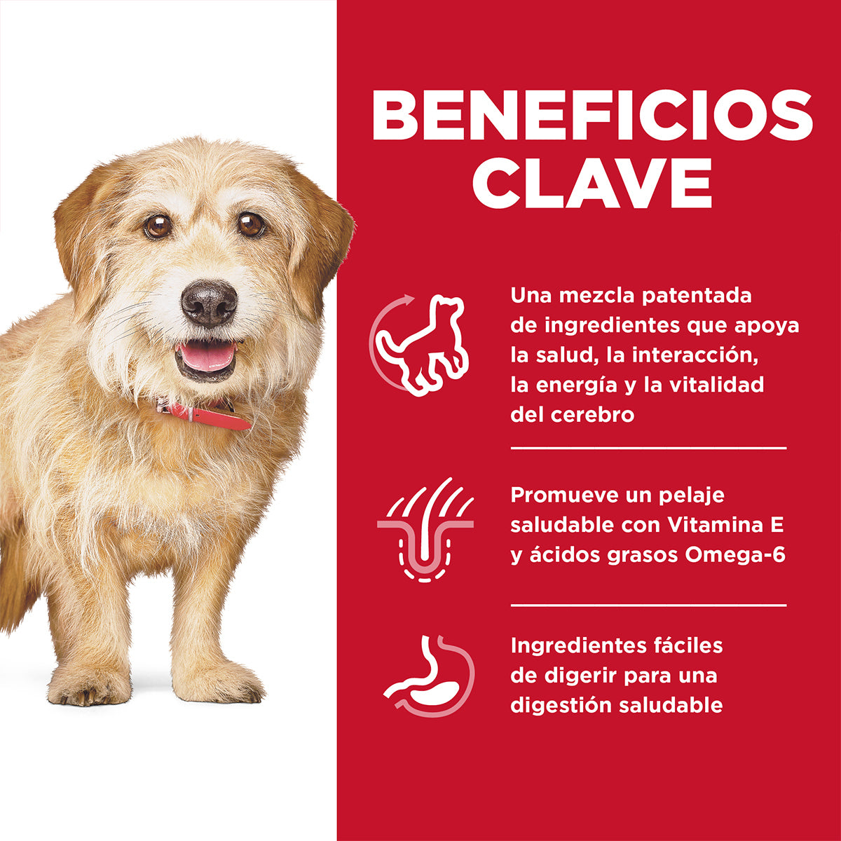 Alimento Hill's Science Diet Senior Vitality Small Bites