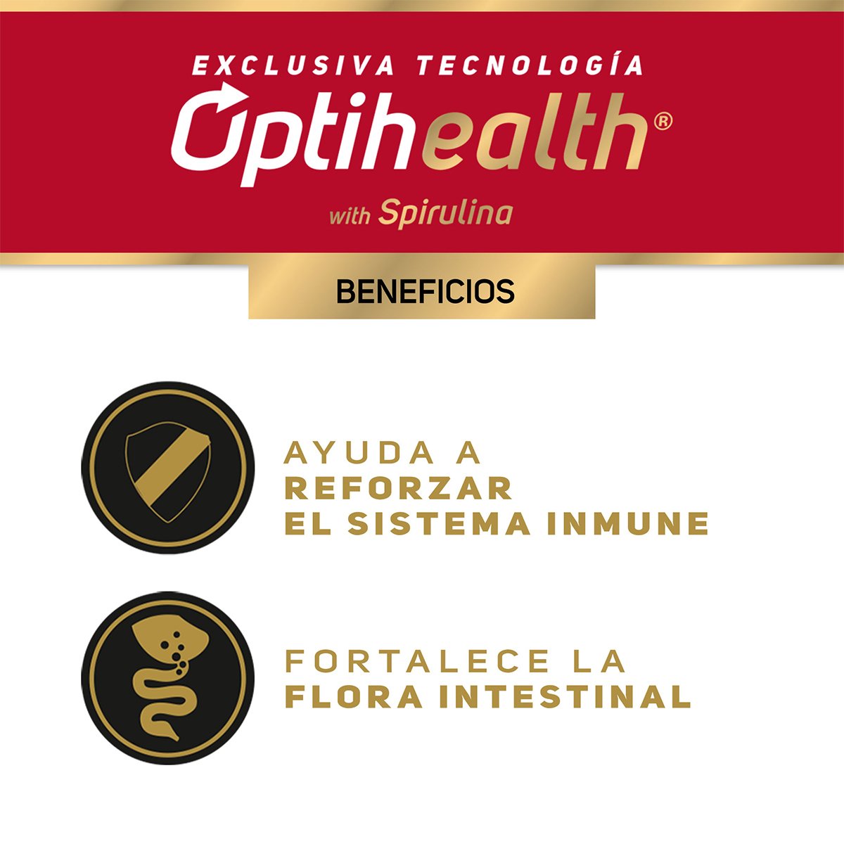 Pro Plan Adult Alimento Húmedo para Perro Adulto Receta Pollo en Salsa 85 g