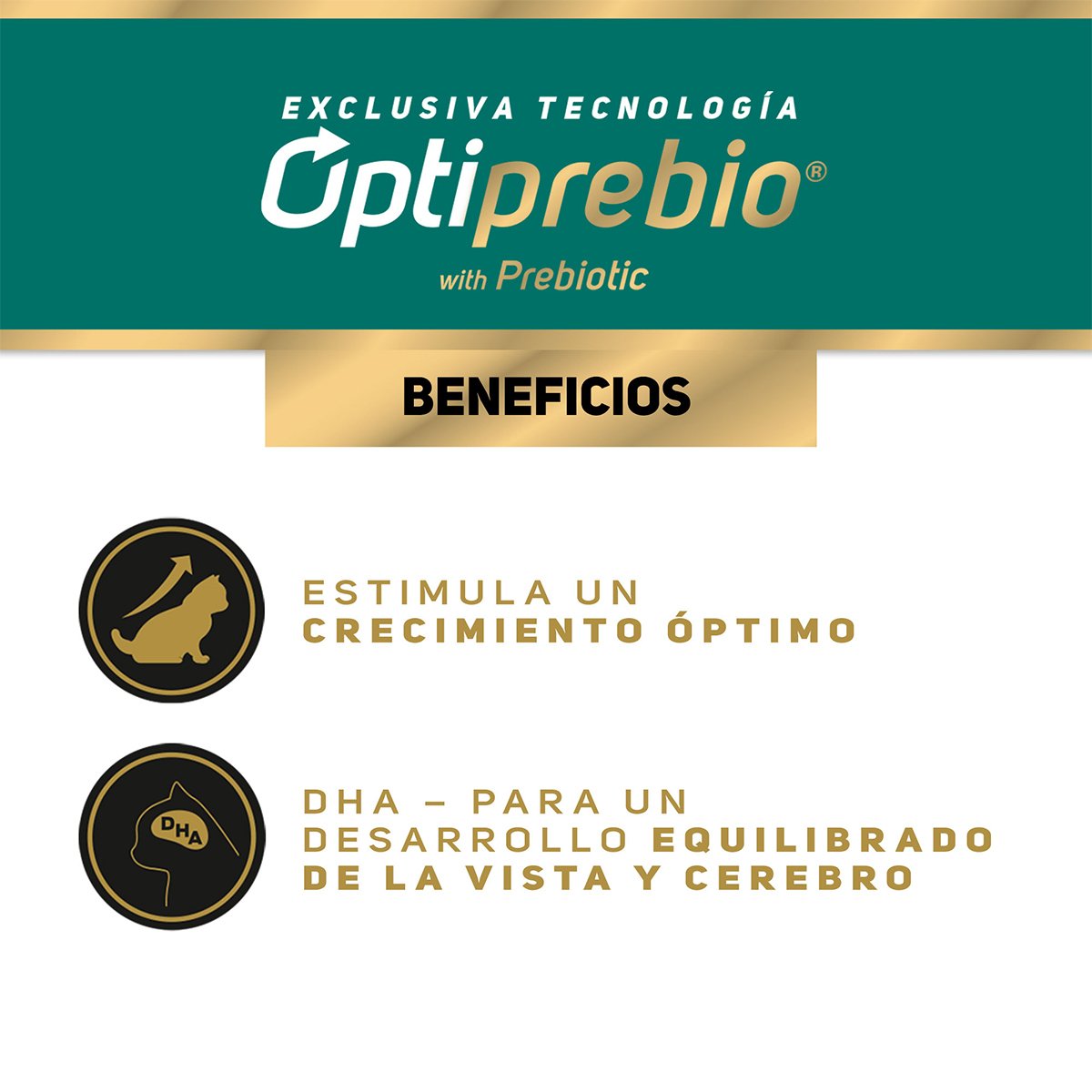 Pro Plan Kitten Optigrowth Alimento Húmedo para Gatito Receta Pollo en Salsa, 85 g