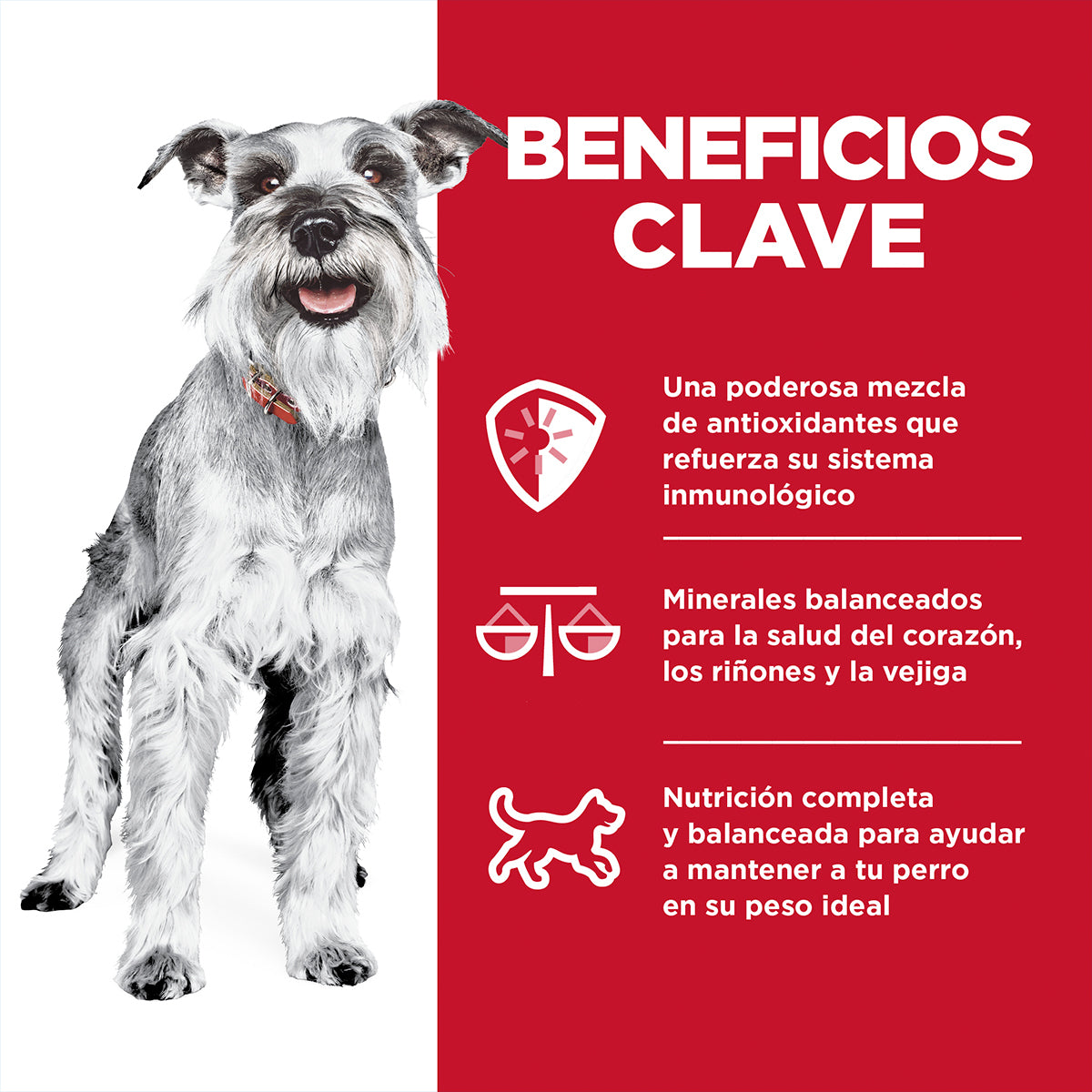 Alimento Hill´s Science Diet Senior Small Paws Para Perro 2.27kg