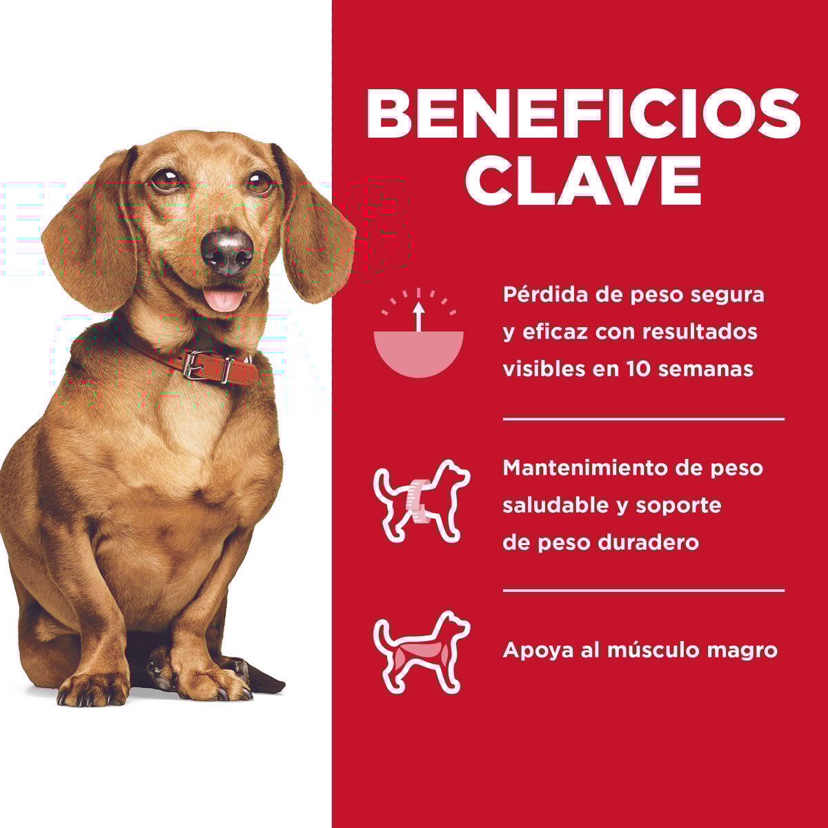 Hill's Science Diet Small & Mini Alimento Control de Peso para Perro Adulto Raza Pequeña y Mini 5.7 kg (UNICAMENTE BAJO PEDIDO)