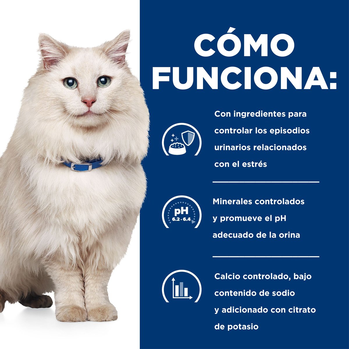 Alimento Hill's Prescription Diet c/d Cuidado Urinario Stress Para Gato 1.8kg