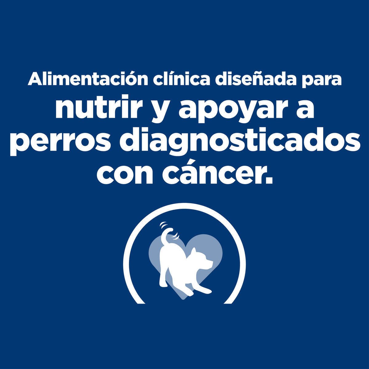 Alimento Hill's Prescription Diet Onc Care Para Perro 2.72kg (UNICAMENTE BAJO PEDIDO)