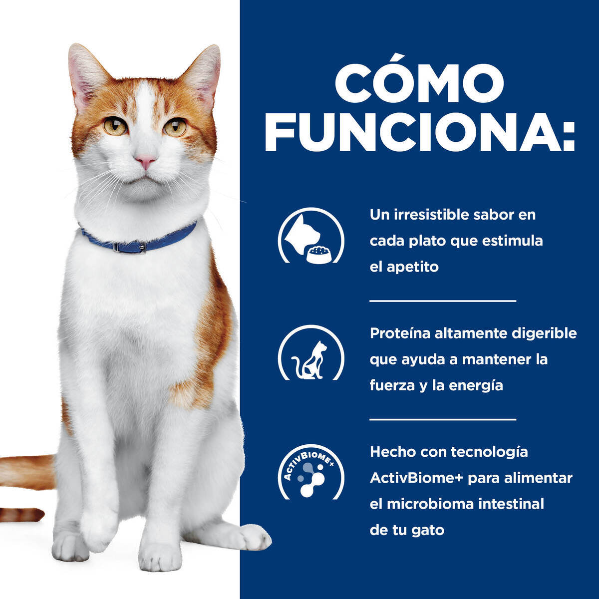 Alimento Hill's Prescription Diet Onc Care Para Gato Lata 82g (ÚNICAMENTE BAJO PEDIDO)