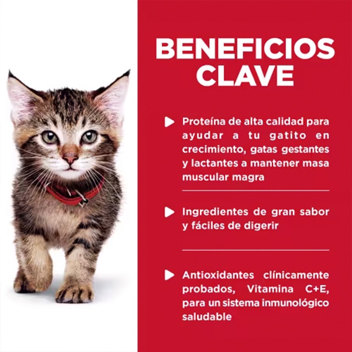 Hill's Science Diet Alimento Húmedo para Gatito Receta Pollo Trocitos en Salsa, 79 g