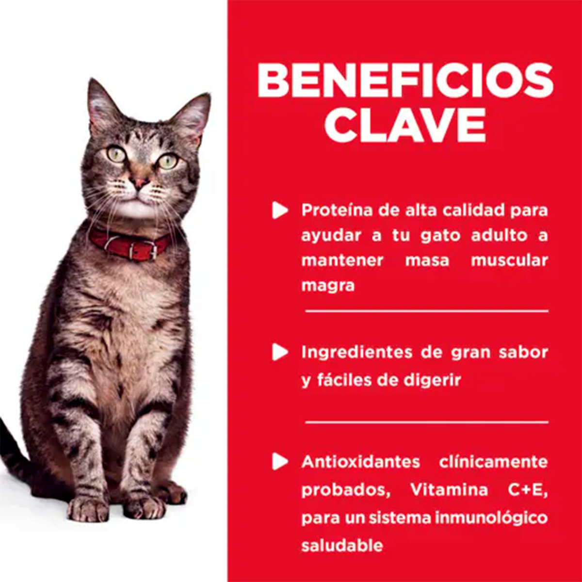 Hill's Science Diet Alimento Húmedo Gato Adulto Receta Atún Trocitos en Salsa 79 g