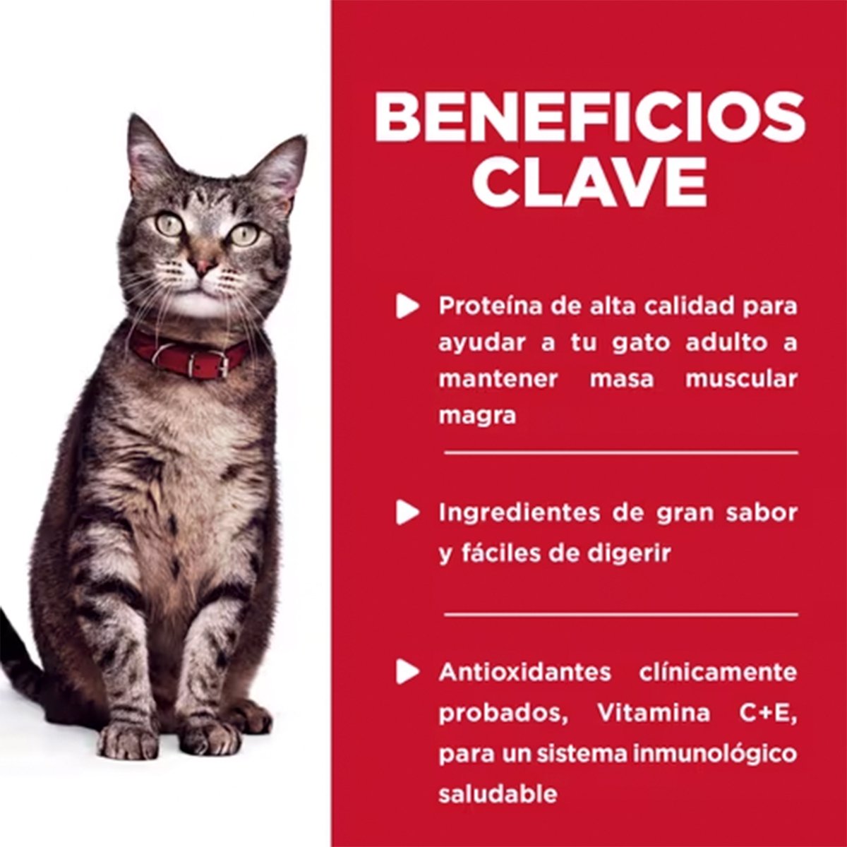 Hill's Science Diet Alimento Húmedo Gato Adulto Receta Pescado Marino Trocitos en Salsa 79 g