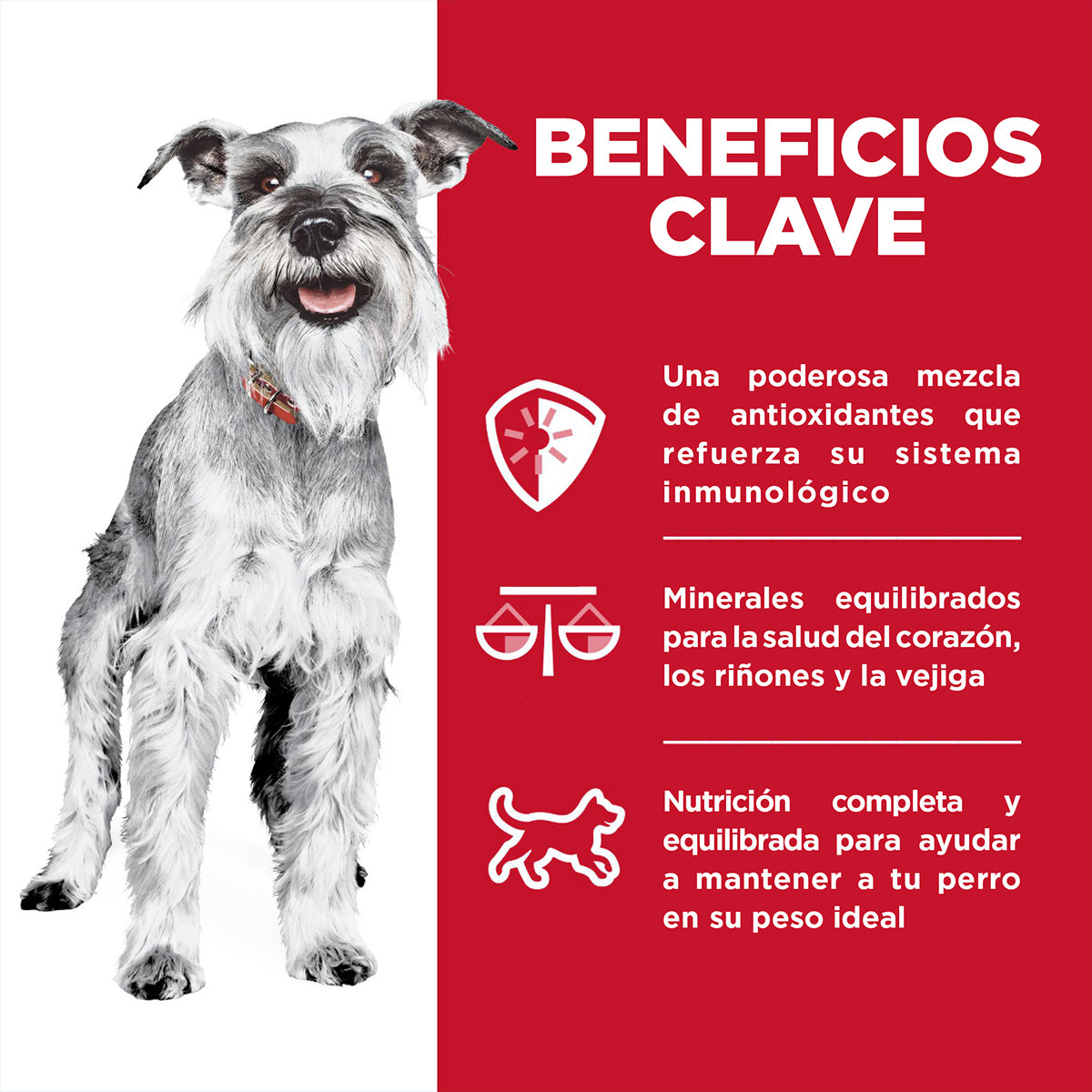 Hill's Science Diet 7+ Small & Mini Alimento Húmedo para Perro Senior Raza Pequeña y Mini Receta Pollo, 99 g