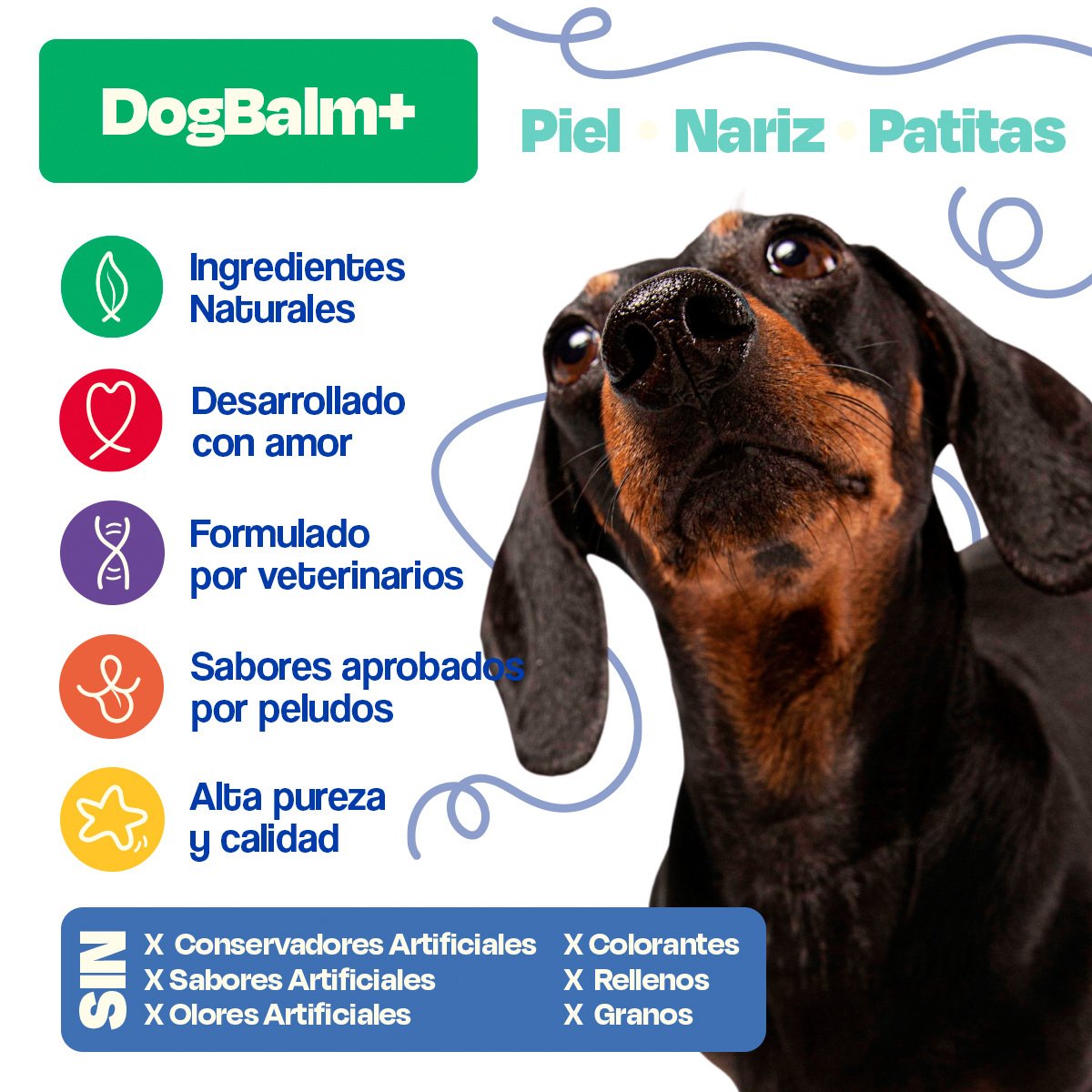 Dogelthy Dog Balm Bálsamo Hidratante para Piel Patitas y Nariz para Perro 50 g