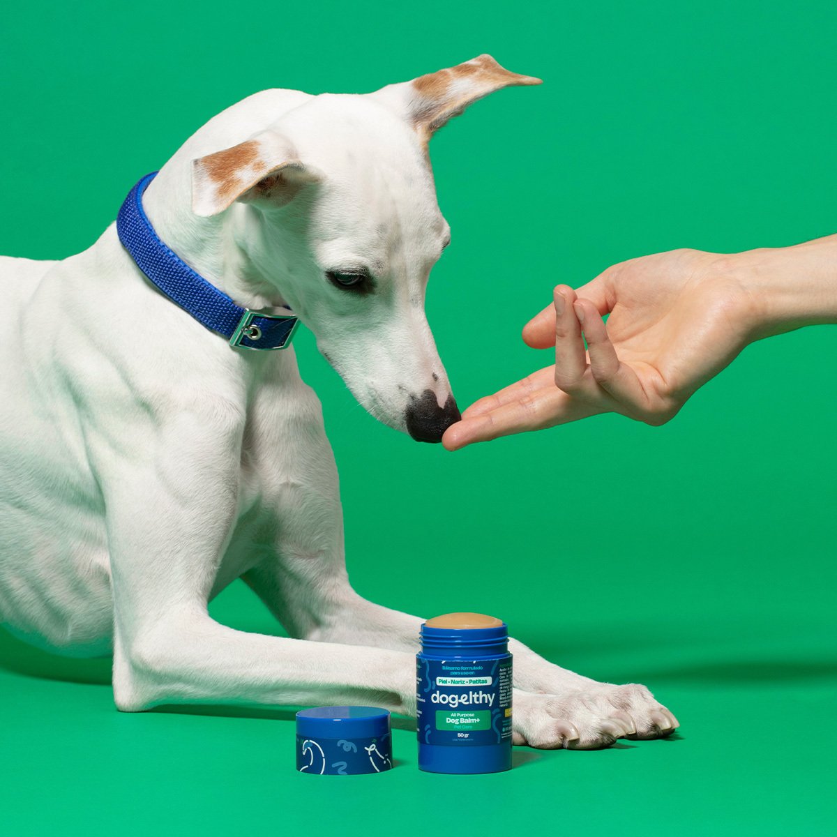 Dogelthy Dog Balm Bálsamo Hidratante para Piel Patitas y Nariz para Perro 50 g