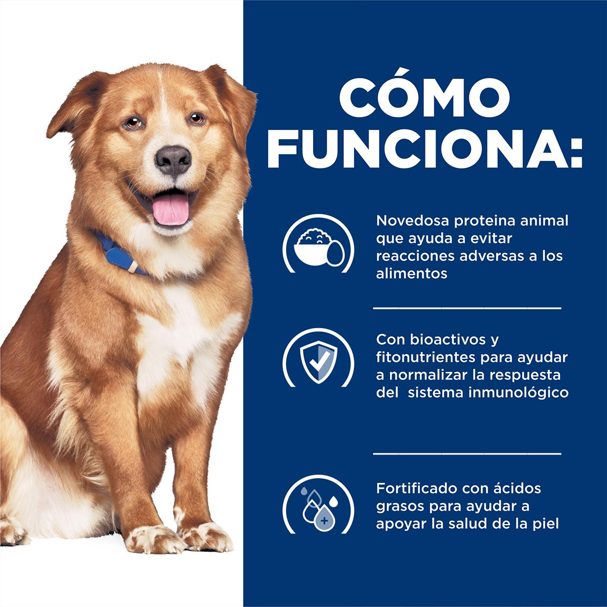 Hill's Prescription Diet Derm Complete Alimento Húmedo Cuidado Dermatológico para Perro 371 g