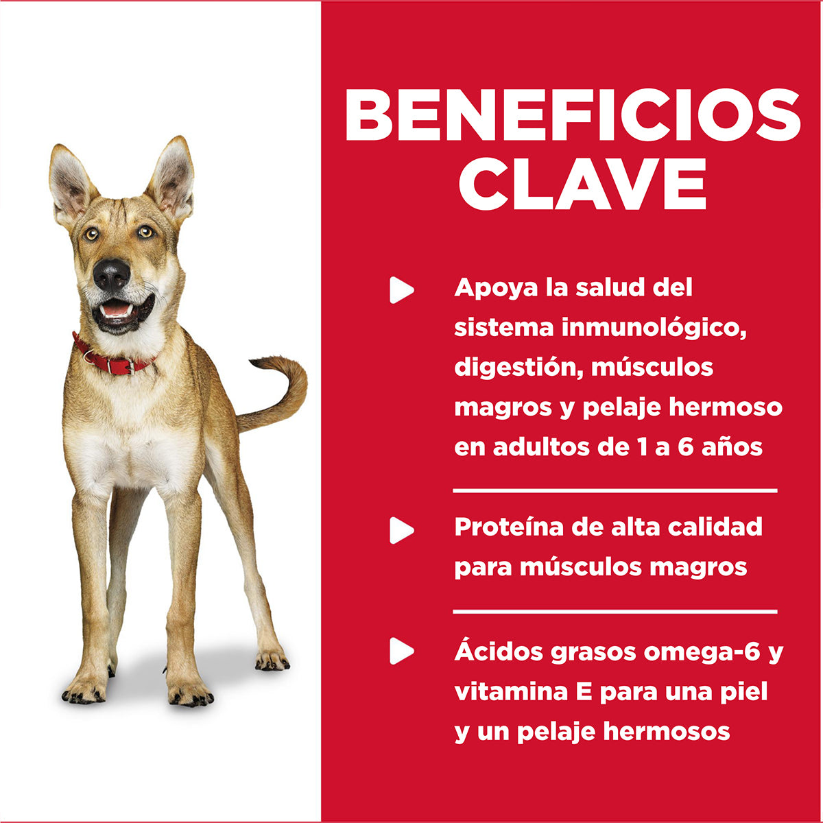 Hill's Science Diet Alimento Húmedo Receta Res y Cebada para Perro Adulto 370 g