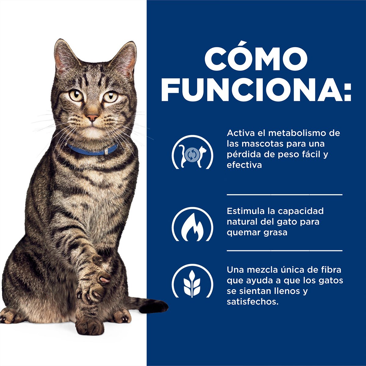 Hill's Prescription Diet Metabolic Alimento Húmedo Reducción de Peso para Gato Adulto 90 g