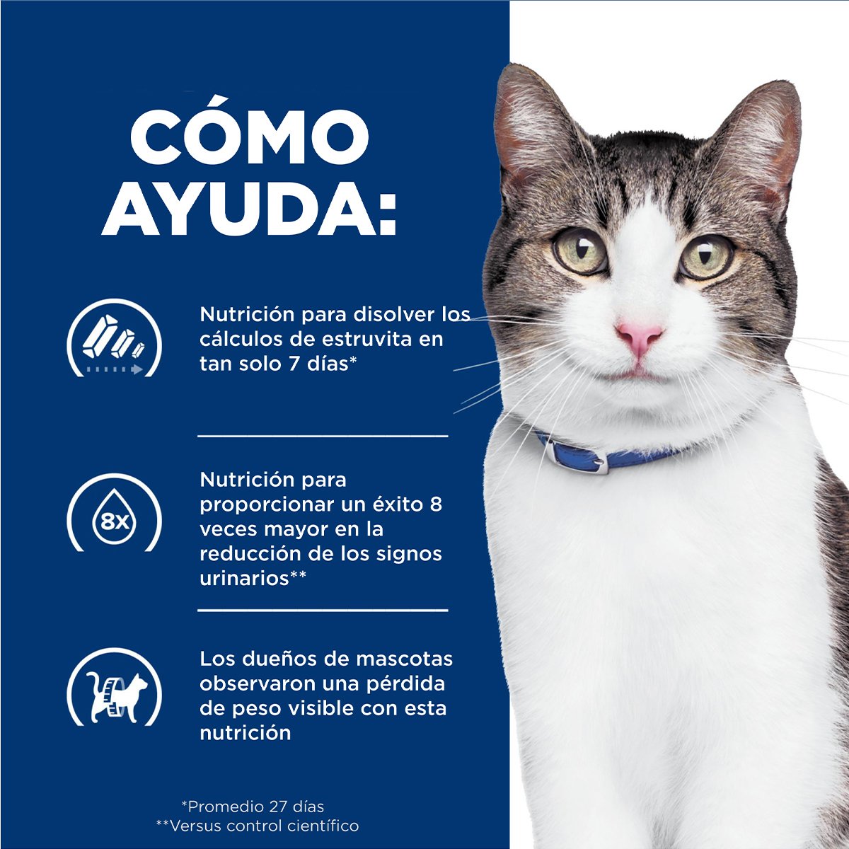 Hill's Prescription Diet c/d Urinary+Metabolic Alimento Húmedo para Gato Adulto Receta Estofado 90 g