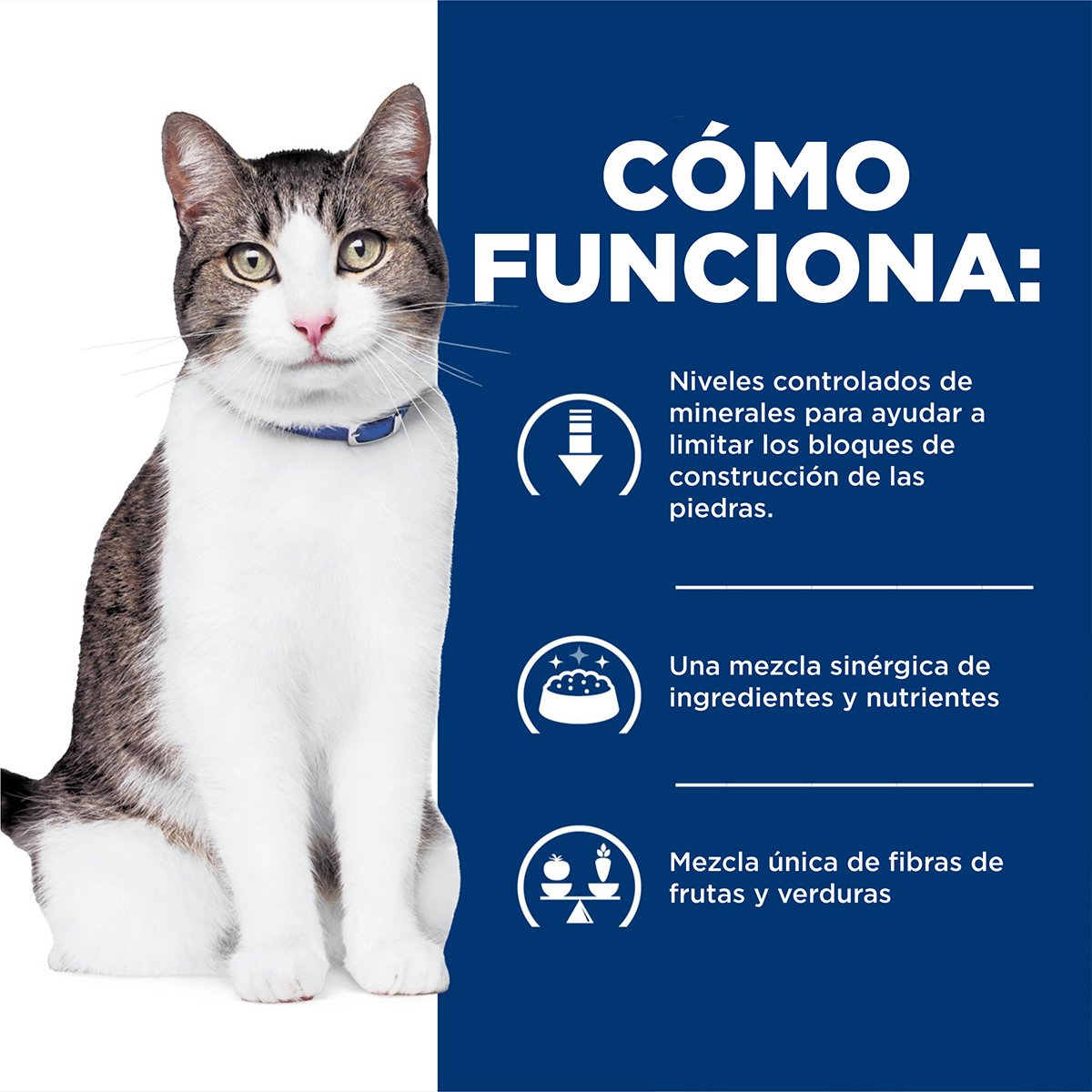 Hill's Prescription Diet c/d Urinary+Metabolic Alimento Húmedo para Gato Adulto Receta Estofado 90 g