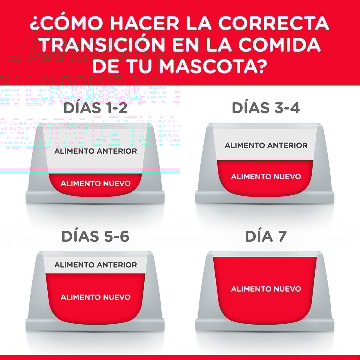 Alimento Hill's Science Diet Original Adulto Multi Beneficios Para Gato (UNICAMENTE BAJO PEDIDO)