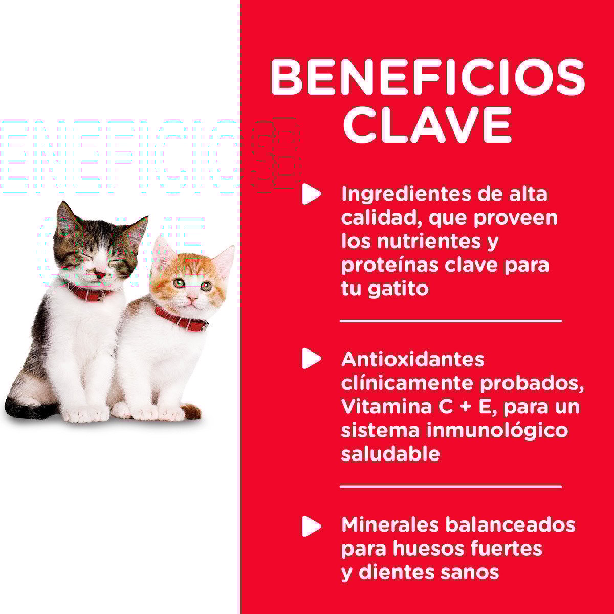 Alimento Hill's Science Diet Original Kitten Healthy Cuisine Para Gatito Lata 80g