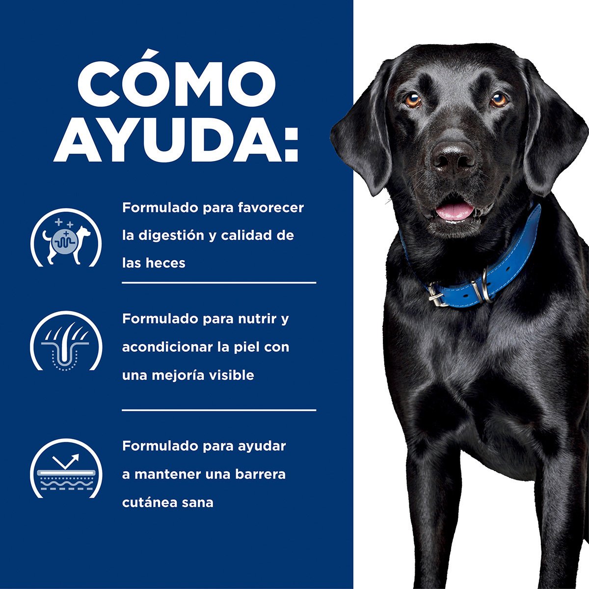 Alimento Hill's Prescription Diet d/d Sensibilidad Alimenticia Para Perro (UNICAMENTE BAJO PEDIDO)