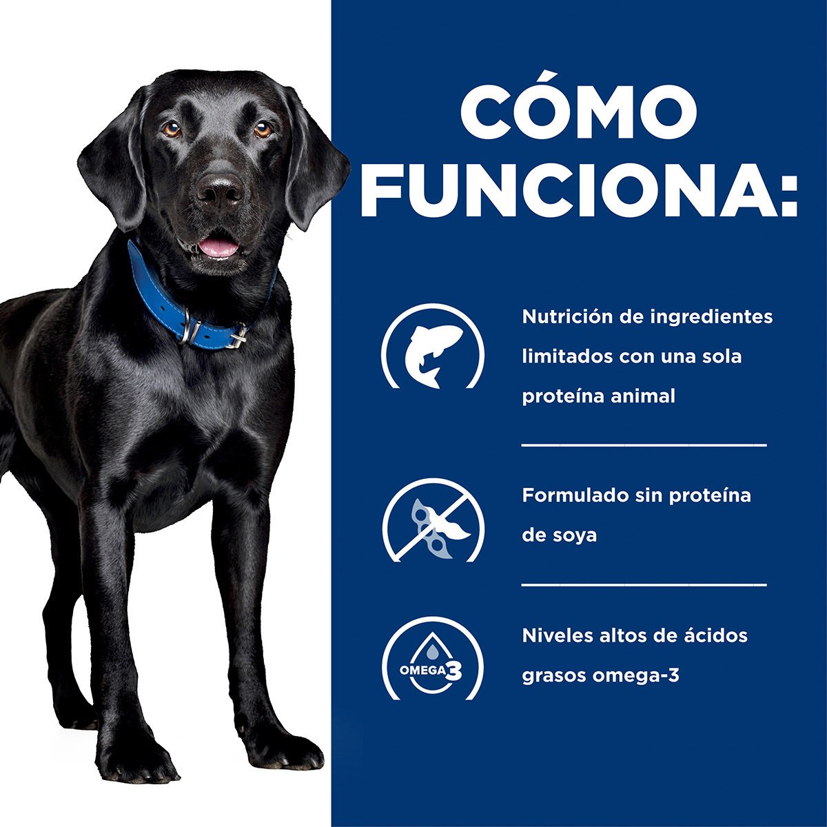Alimento Hill's Prescription Diet d/d Sensibilidad Alimenticia Para Perro (UNICAMENTE BAJO PEDIDO)