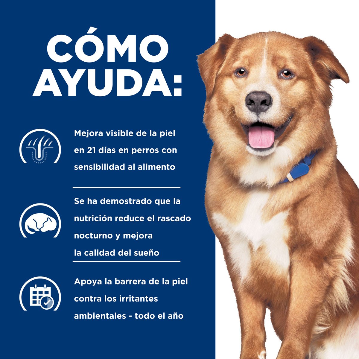 Hill's Prescription Diet Derm Complete Alimento Seco Cuidado Cutáneo para Perro Adulto (UNICAMENTE BAJO PEDIDO)