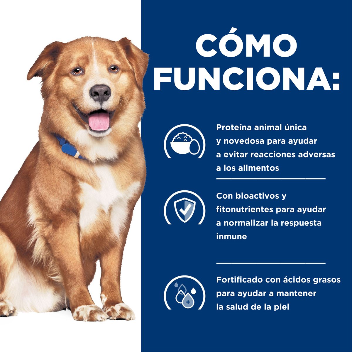 Hill's Prescription Diet Derm Complete Alimento Seco Cuidado Cutáneo para Perro Adulto (UNICAMENTE BAJO PEDIDO)