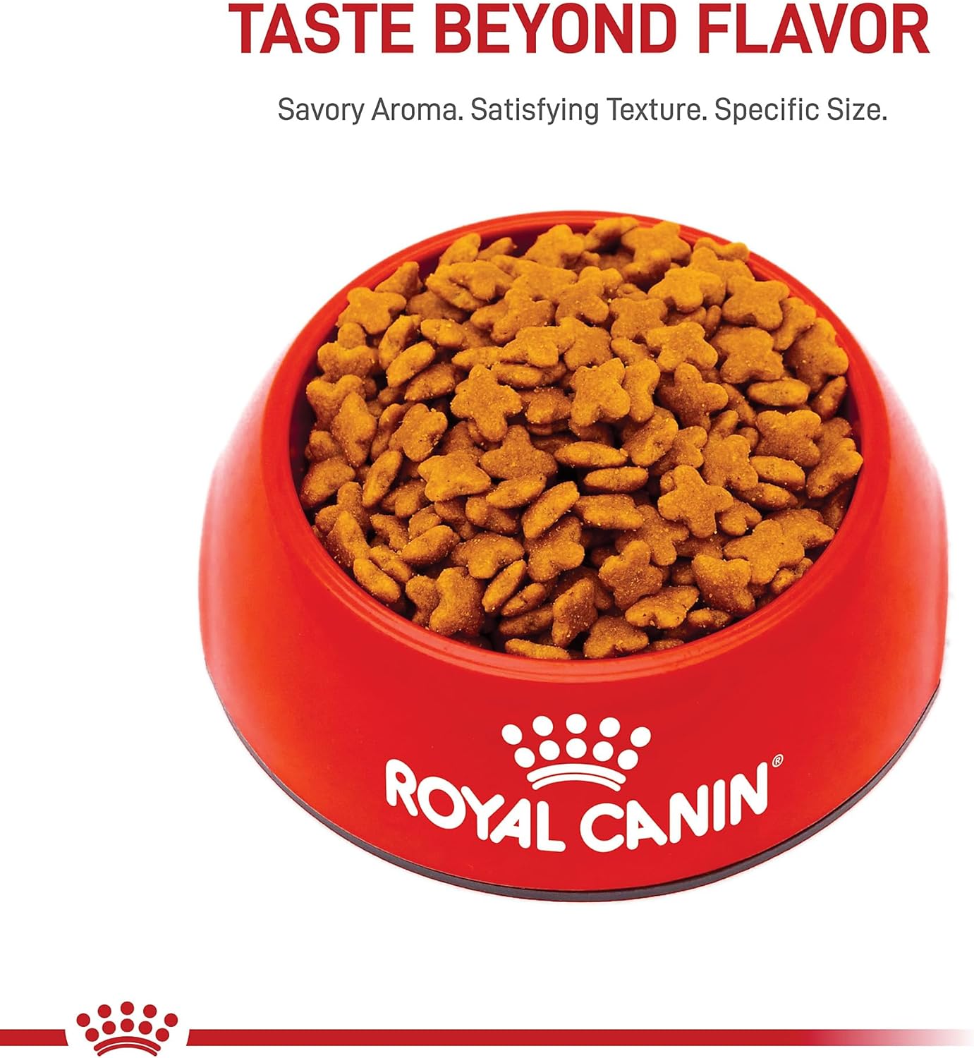 Royal Canin Croquetas para Perros Pequeños, Mini Mature +8, 1.1 kg