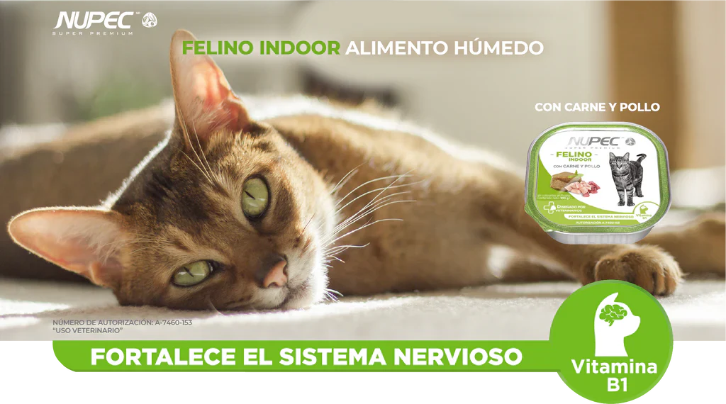 Nupec Lata Indoor 100 gr